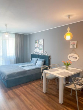 Apartament Zdrojowa